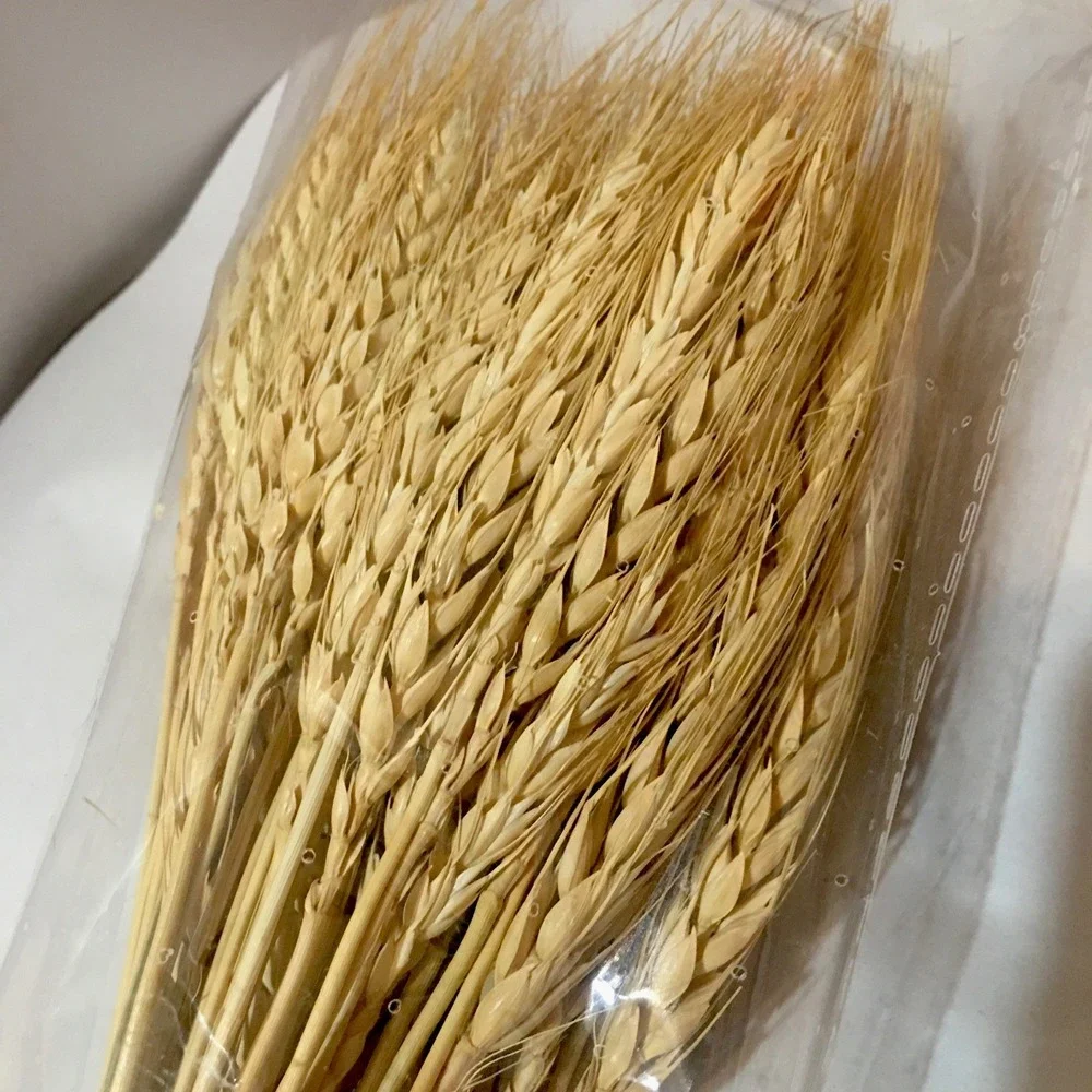 100 Stems Dried Wheat Stalks for Decor Sheaves Grass Natural Golden